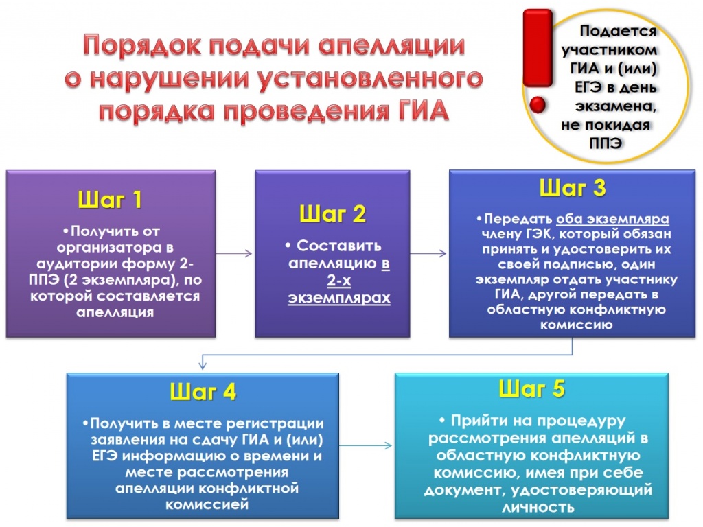 Апелляция на результаты ЕГЭ-2018: как подать и повысить баллы? Апелляция на результаты ЕГЭ-2018: как подать и повысить баллы?